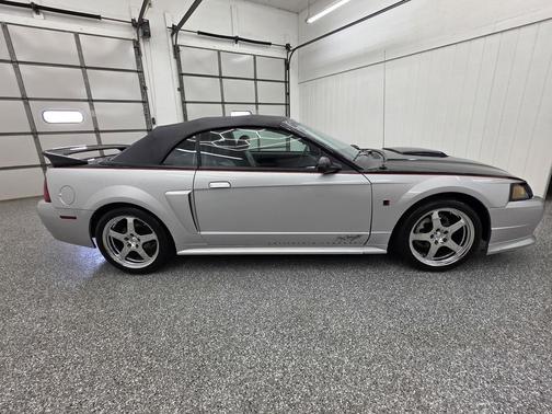 Black Clearcoat 2003 Ford Mustang Base