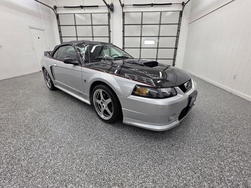 Black Clearcoat 2003 Ford Mustang Base