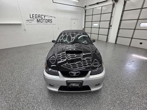 Black Clearcoat 2003 Ford Mustang Base