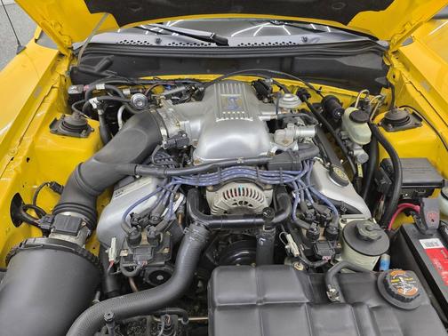 Zinc Yellow 2001 Ford Mustang SVT Cobra