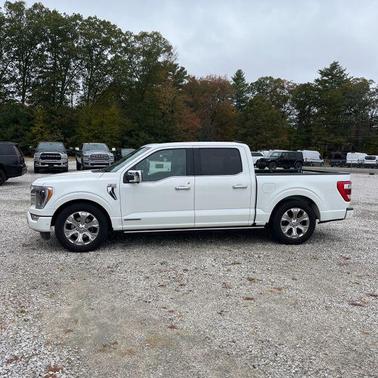 2022 Ford F-150 Platinum