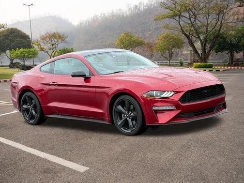 2023 Ford Mustang EcoBoost