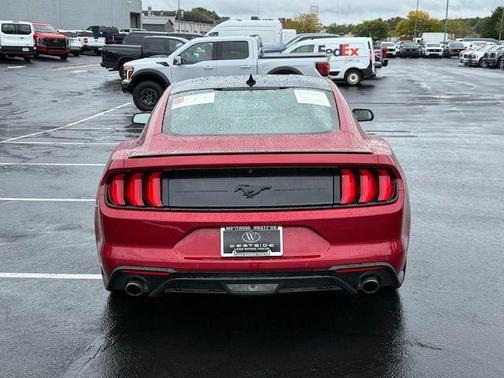 2023 Ford Mustang EcoBoost