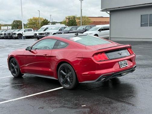 2023 Ford Mustang EcoBoost