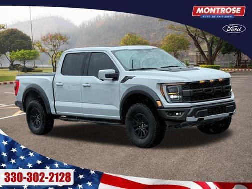 Avalanche 2023 Ford F-150 Raptor