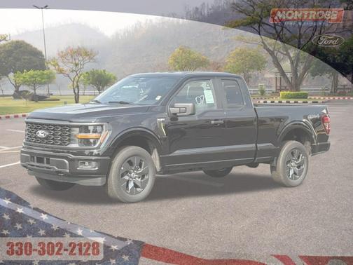 2025 Ford F-150 STX