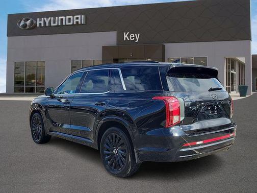 Abyss Black Pearl 2025 Hyundai PALISADE Calligraphy Night Edition