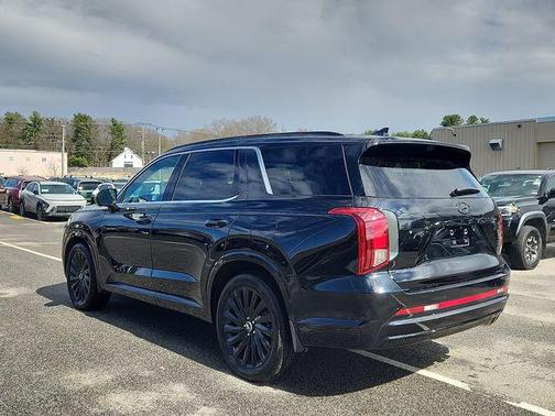 Abyss Black Pearl 2025 Hyundai PALISADE Calligraphy Night Edition