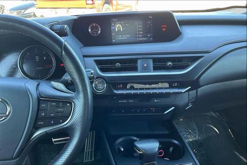 2019 Lexus UX 200 F Sport