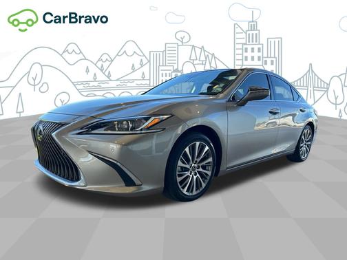 Silver Lining Metallic 2020 Lexus ES 350 ES 350