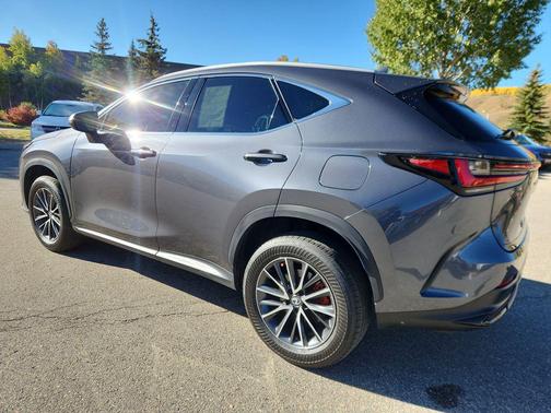 2023 Lexus NX 350 Premium