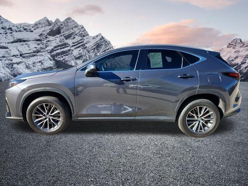 2023 Lexus NX 350 Premium