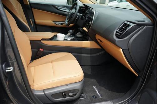 2025 Lexus NX 250 Premium