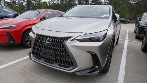 2025 Lexus NX 250 Premium