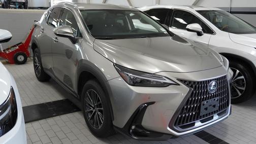 2025 Lexus NX 250 Base