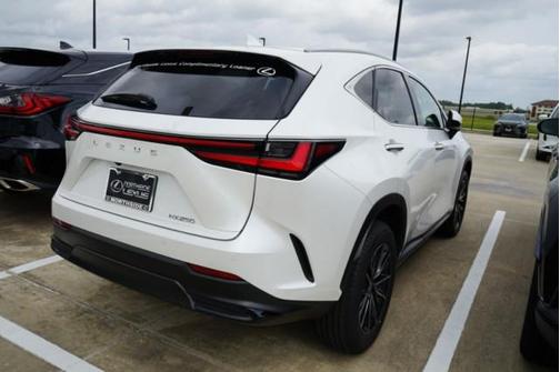 2024 Lexus NX 250 Premium