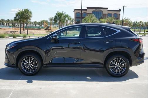 2025 Lexus NX 250 Premium