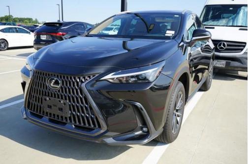 2025 Lexus NX 250 Premium