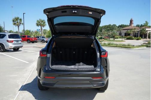 2025 Lexus NX 250 Premium