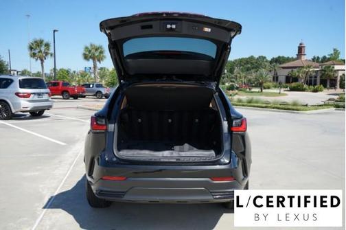 2025 Lexus NX 250 Premium