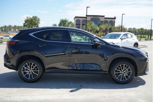 2025 Lexus NX 250 Premium