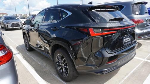 2025 Lexus NX 250 Premium