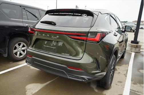 2025 Lexus NX 250 Base