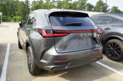 2025 Lexus NX 250 Base