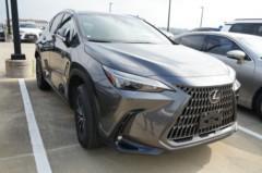 2025 Lexus NX 250 Base