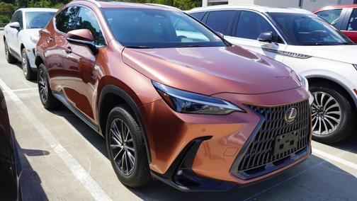 Copper 2025 Lexus NX 250 Premium
