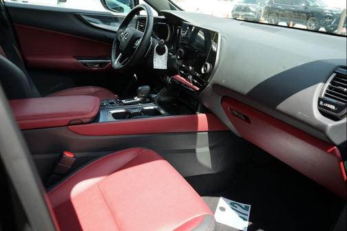 2025 Lexus NX 250 Premium