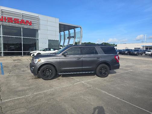 Magnetic 2021 Ford Expedition XLT