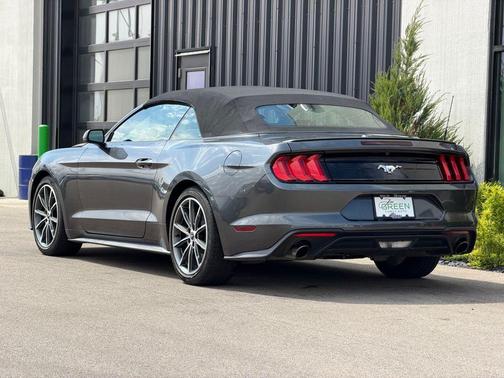 Magnetic Metallic 2019 Ford Mustang EcoBoost Premium