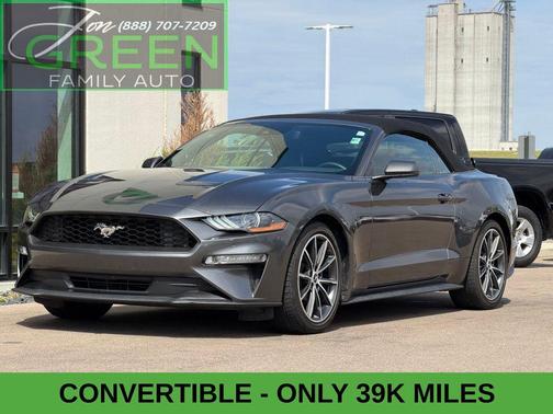 Magnetic Metallic 2019 Ford Mustang EcoBoost Premium