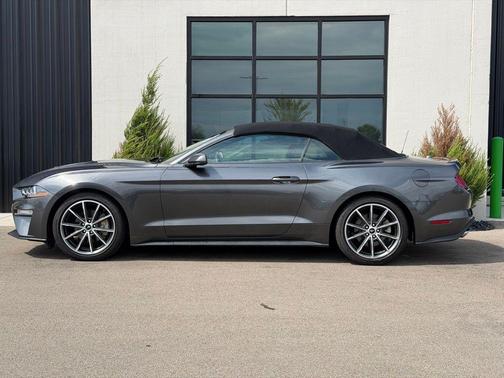 Magnetic Metallic 2019 Ford Mustang EcoBoost Premium