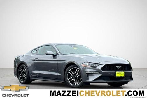 Gray Metallic 2023 Ford Mustang EcoBoost Premium