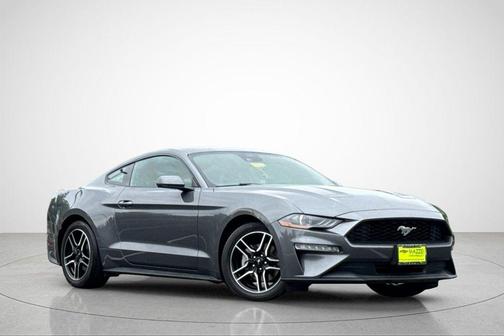 Gray Metallic 2023 Ford Mustang EcoBoost Premium