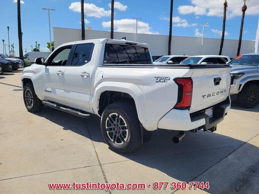Ice Cap 2024 Toyota Tacoma TRD Sport