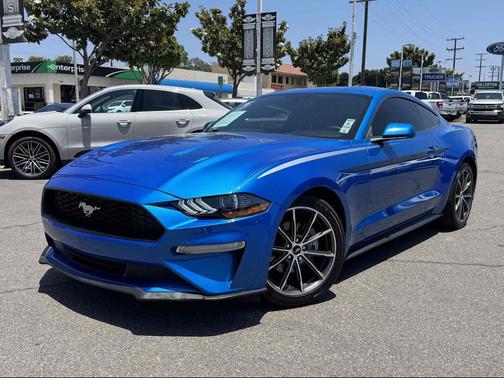 Velocity Blue Metallic 2019 Ford Mustang EcoBoost