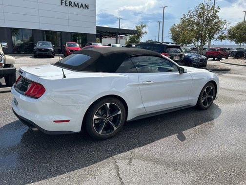 2019 Ford Mustang EcoBoost