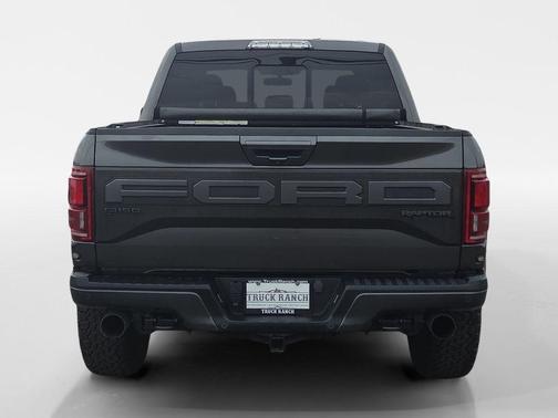 Magnetic 2019 Ford F-150 Raptor