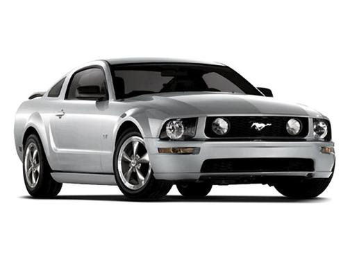 2009 Ford Shelby GT500 Base