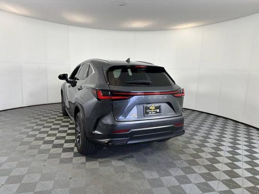 2022 Lexus NX 250 Premium