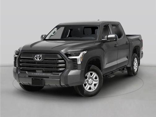 Ice Cap 2025 Toyota Tundra SR5