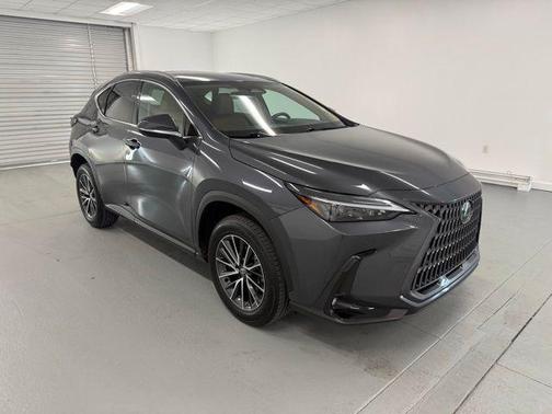 2025 Lexus NX 250 Premium