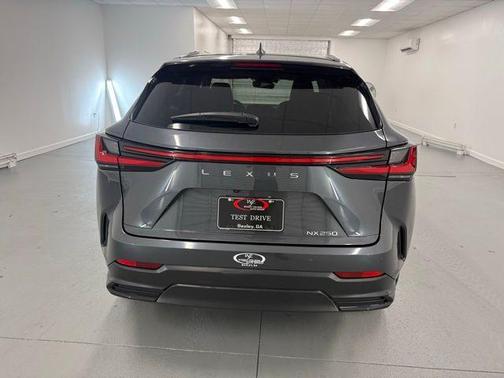 2025 Lexus NX 250 Premium