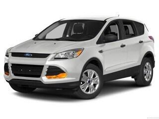 White Platinum 2014 Ford Escape Titanium