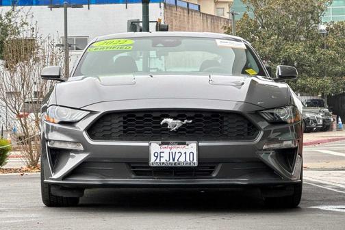 2022 Ford Mustang EcoBoost