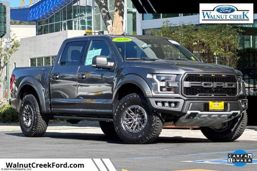 Magnetic Metallic 2020 Ford F-150 Raptor