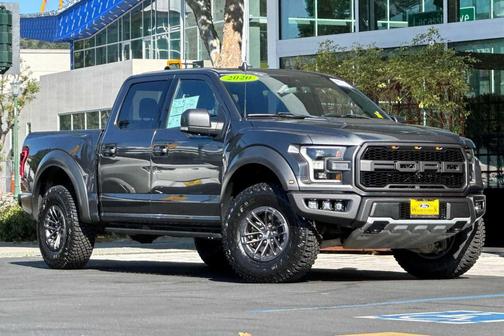 Magnetic Metallic 2020 Ford F-150 Raptor